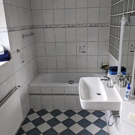Altenberger Stadtvilla 公寓 德累斯顿